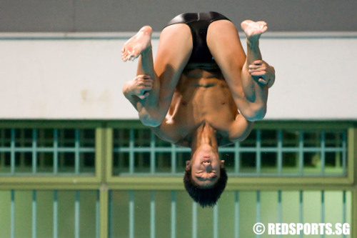 Mark & Timothy Lee, Team Singapore divers