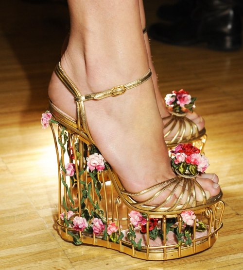 Dolce & Gabbana