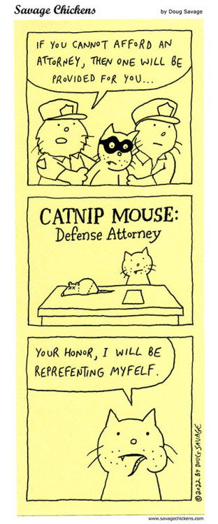 For The Defense.The return of Catnip Mouse, Defense Attorney!