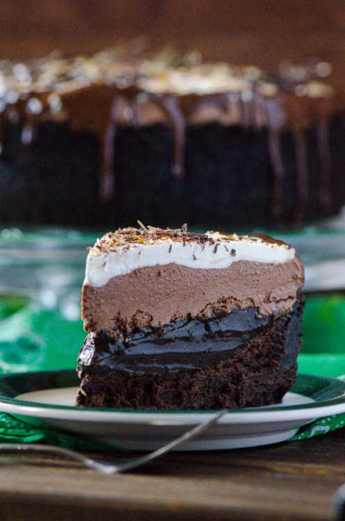 thebeardedmannextdoor: laudanumandabsinthe: sweetoothgirl:  Irish Cream Coffee Mud Pie  Good Lord  w