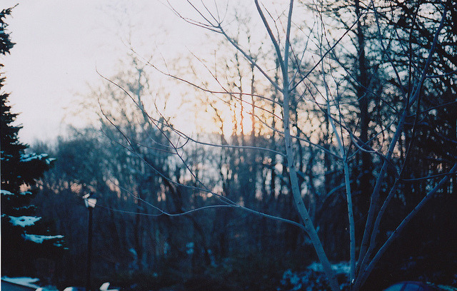 grett:  116/365 - cold winter days. by andrew gowen on Flickr. 