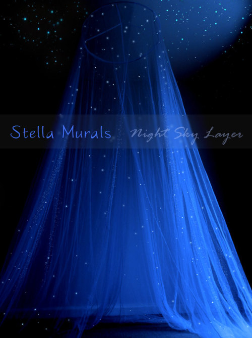 culturenlifestyle: Exquisite Glow in the Dark Starry Night MuralsEsther Iranyi from Stella Murals cr