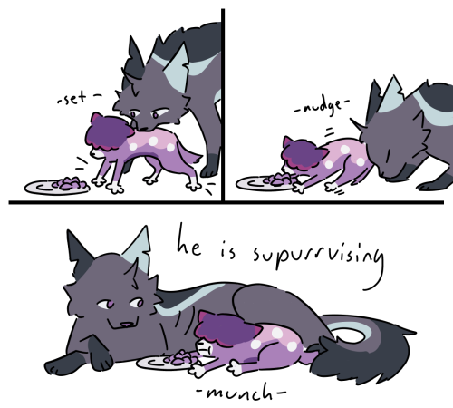 [continuation Of This]