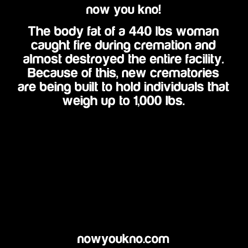 Sex nowyoukno:  Source for more like this follow pictures