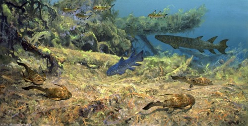 hajandrade:Douglas Henderson: Paleozoic Era