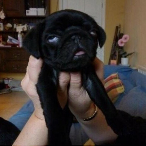 cokeproblem: “skinny jeans don’t look good on you”  “you have a pimple”