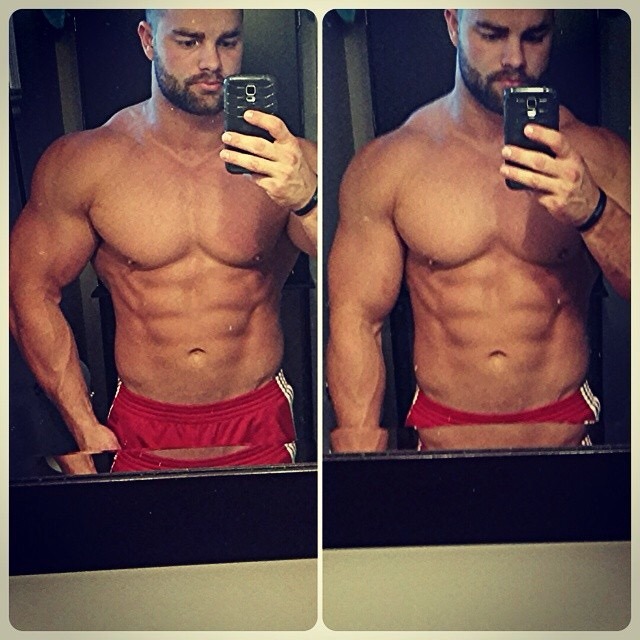 muscle lover