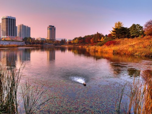 lovesouthkorea:Autumn in Olympic Park Olympic Park, Seoul, Korea (by miwave)