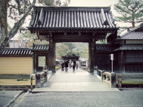 金閣寺、京都、日本、2014．Kinkakuji, Kyoto, Japan, 2014.