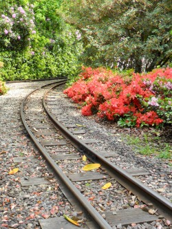 vwcampervan-aldridge:  Miniature railway