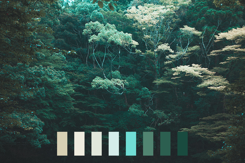 naturalpalettes:  Koji Nishida