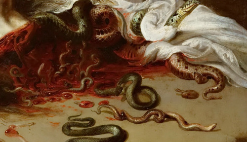 blackpaint20:Peter Paul Rubens, #Medusa (details), c.1618