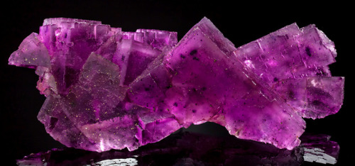 bijoux-et-mineraux:  Fluorite with Chalcopyrite - Gaskins Mine, Empire Sub-District, Illinois - Kentucky Fluorspar District, Pope Co., Illinois