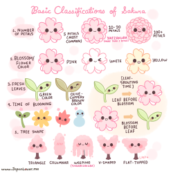 japanloverme:  Aah~ ✿! The sakura season is finally here  (*＾ワ＾*)/ Here’s a simple infographic that we made about how sakura are classified, based on this article by japan-guide.com :http://www.japan-guide.com/e/e2011_species.html Are you