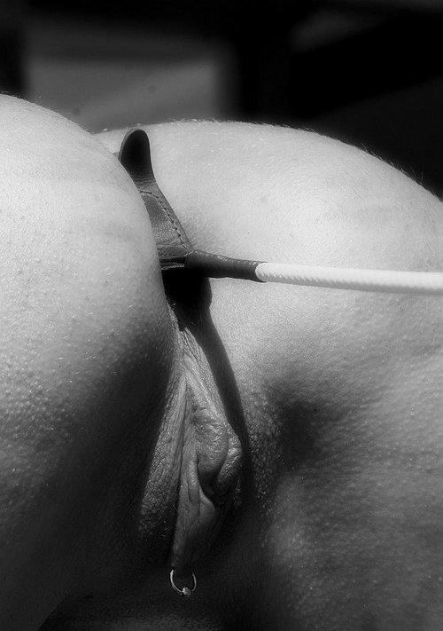 ruinedorgasmhot:  More HD Forced Squirting