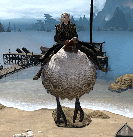 Dodo Mount Explore Tumblr Posts And Blogs Tumgir