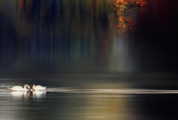asylum-art:  Amazing conceptual photographs by Silena Lambertini on 500px Stunning Landscapes by Silena Lambertini. Amazing conceptual landscape photographs by Silena Lambertini, talented self-taught photographer based in Italy. 