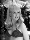 xxhorace:Barbara Eden 