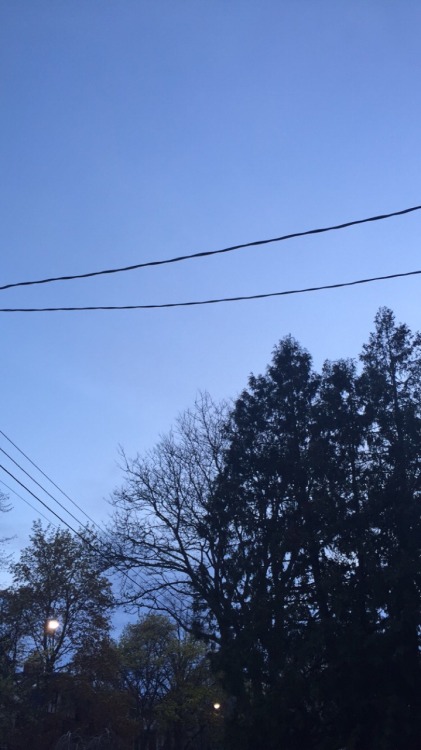 lobbygrl:  a thousand shades of blue in the same instant