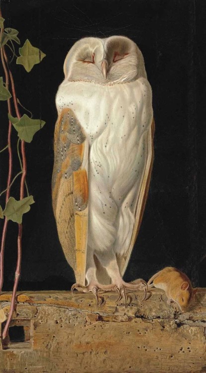 the-cinder-fields - William J Webbe, The White Owl, 1856