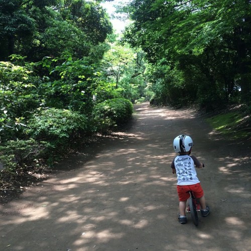 hm7: 木陰は風が通って涼しいねえ。 (しながわ区民公園)