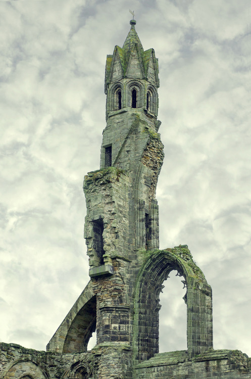 nelc: intheblueside: St Andrew’s Cathedral (Scotland) by Javier Cortina Now, that’s what