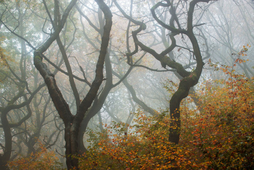 twisted, West Yorkshire by Simon Higginbottom