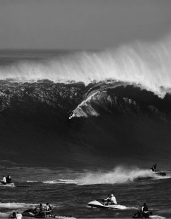 highenoughtoseethesea:  Captive Audience