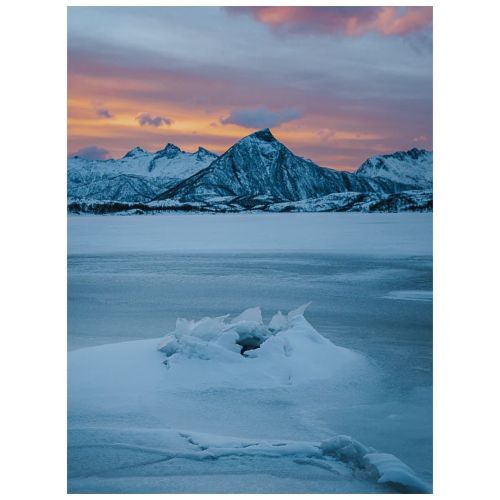 Stone hatching #arcticwildlife . . . ———————————————————— #itscoldoutside #myarcticlife #fjordlife