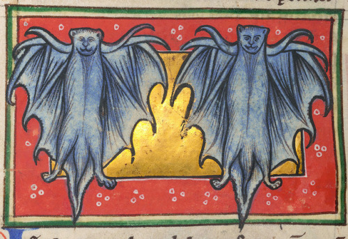 discardingimages:batsWorksop Bestiary, England c. 1185NY, The Morgan Library & Museum, MS M.81, 