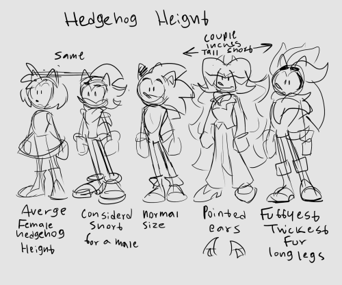 some headcanons for sonic body types and animals- silver has large eyebrows which is uncommon- knuck