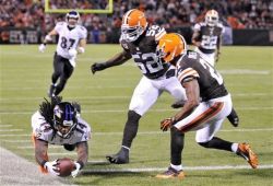 Fuckyeahravens
