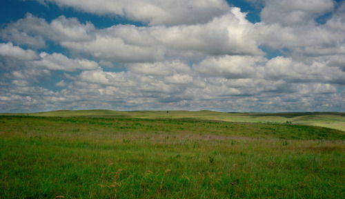 Summer clouds and wild grasses in the Tallgrass Prairie National Preserve near Strong City Kansas.  