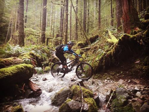 stumptownrider: Perfect day out there on the trails! Hope you all got out there #mountainbiking #mtb