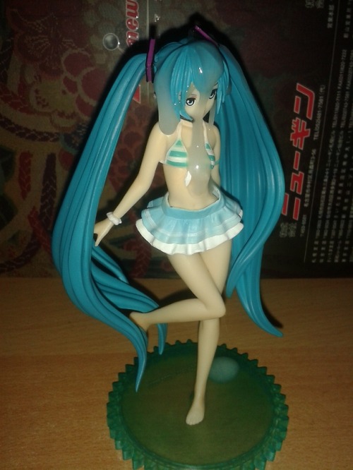 Porn photo Summer Bikini SOF for cutie Hatsune Miku!