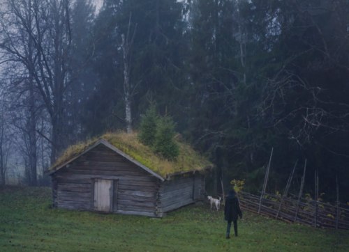 definitelydope:  (by Anna Ådén) 