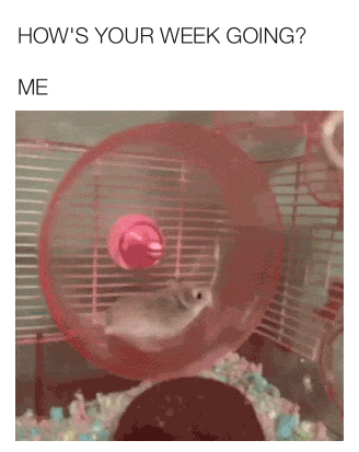 sassygapeach79:  🤣🤣🤣