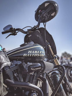 theriderwriter:  Dyna Days, Riverside, CA