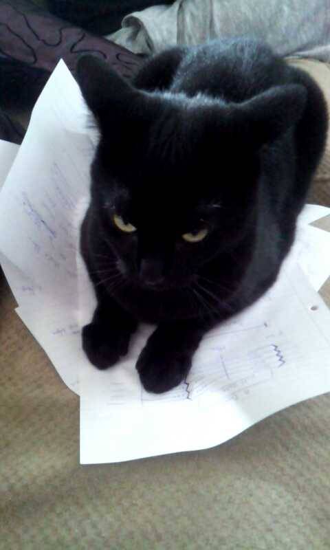 sombre-songbird:Me and my cat ,Oscar, who hates me (but loves me at night when theres