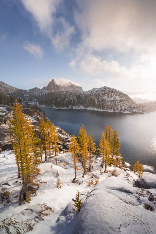 Larch Season . Complete first set of my Enchantments work from October 2019. A variety of my favorit