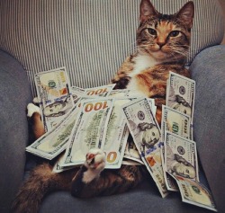 cashcats:  definitely in my zone