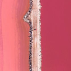 killertownlikes:  Today’s #travel destination inspiration: the #PinkLake in Western #Australia. The presence of a specific algae gives the #lake its natural #pink hues. \ Photo by @lukeshadbolt by designmilk http://ift.tt/1P92CUk
