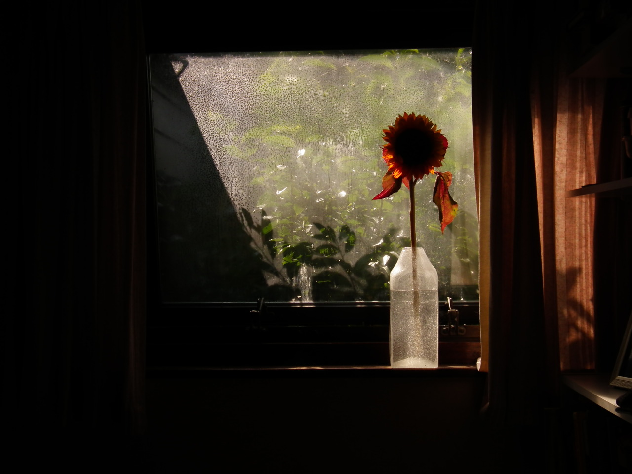 photographersdirectory: Hey there, I’m Katie. Just an 18 year old anglo-german-lankan
