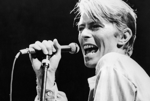macca-was-the-walrus:  RIP David Bowie 8 January 1947 - 10 January 2016 