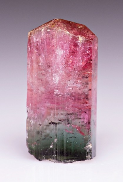 mineralia:Elbaite from Brazilby Dan Weinrich