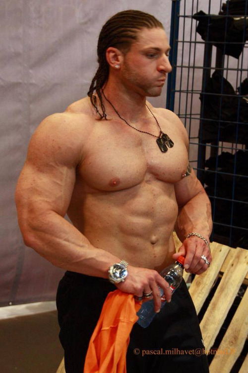 OC muscle
