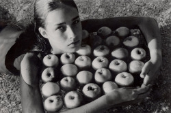 Mamma-Wolf:  All My Apples, Baska By Stanko Abadžic 