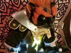 cat-cosplay:  Behold, and tremble before the wielder of the Triforce of Power… Ga'nyan'dorf! Cat Cosplay: Legend of Zelda Ganondorf