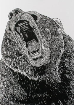 eatsleepdraw:  Bear Lino // Sam Scales http://samscales.tumblr.com