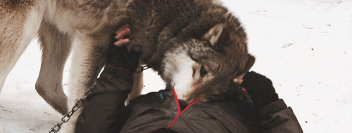 marielikestodraw:  nyenoi:  the bourne legacy behind the scenes  Well, finish me
